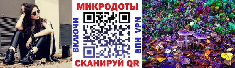 blacksprut ссылка Тотьма Псилоцибиновые грибы прущие грибы